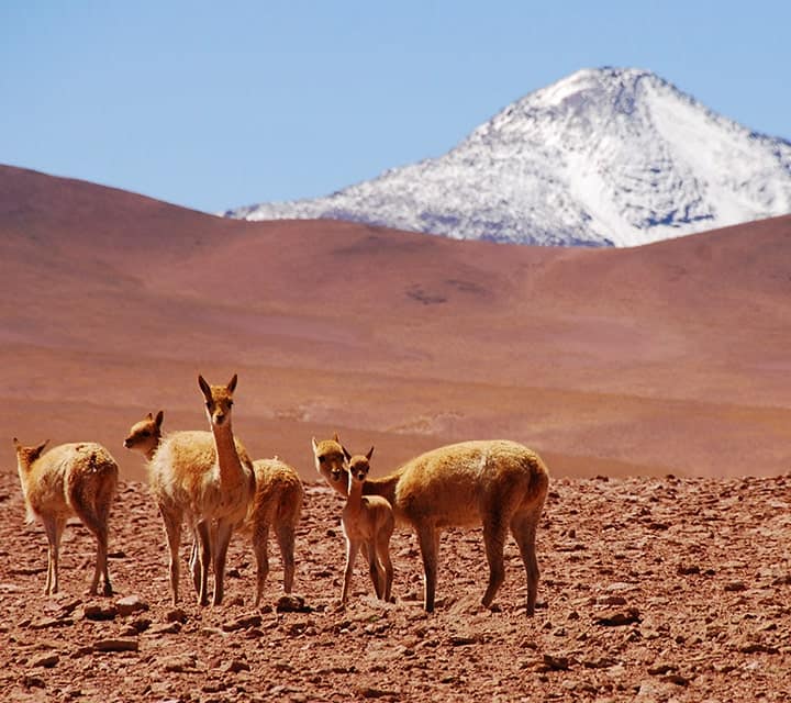 Nova rodovia fará ligação direta do Brasil ao Deserto do Atacama